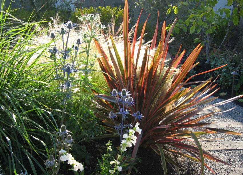 Rustic Berkeley Garden